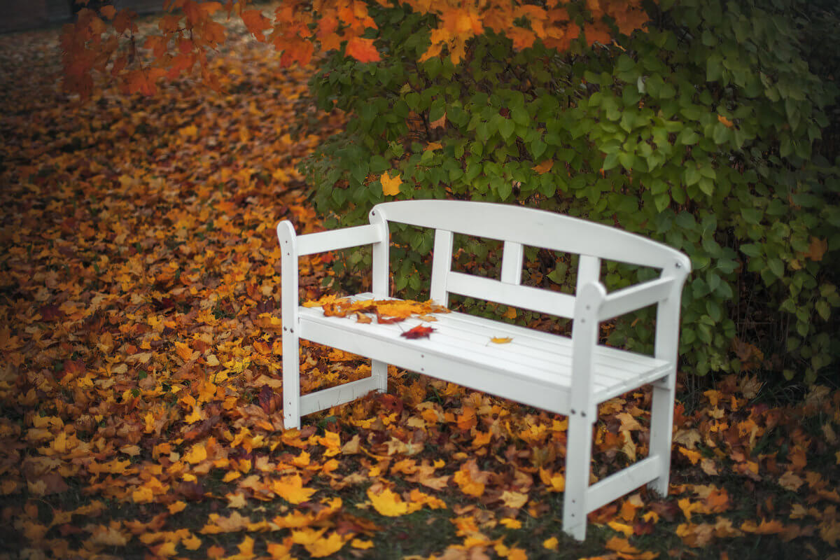Garden bench with backrest