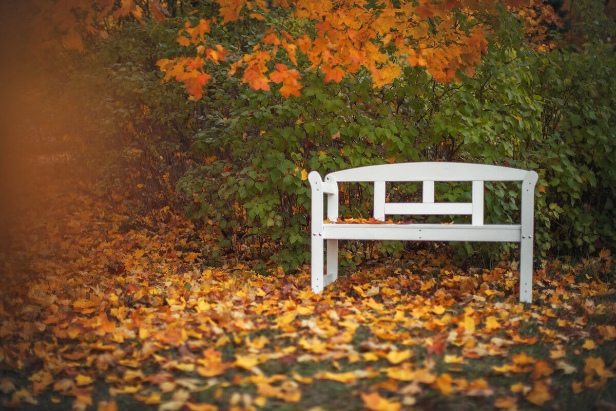 Garden bench with backrest