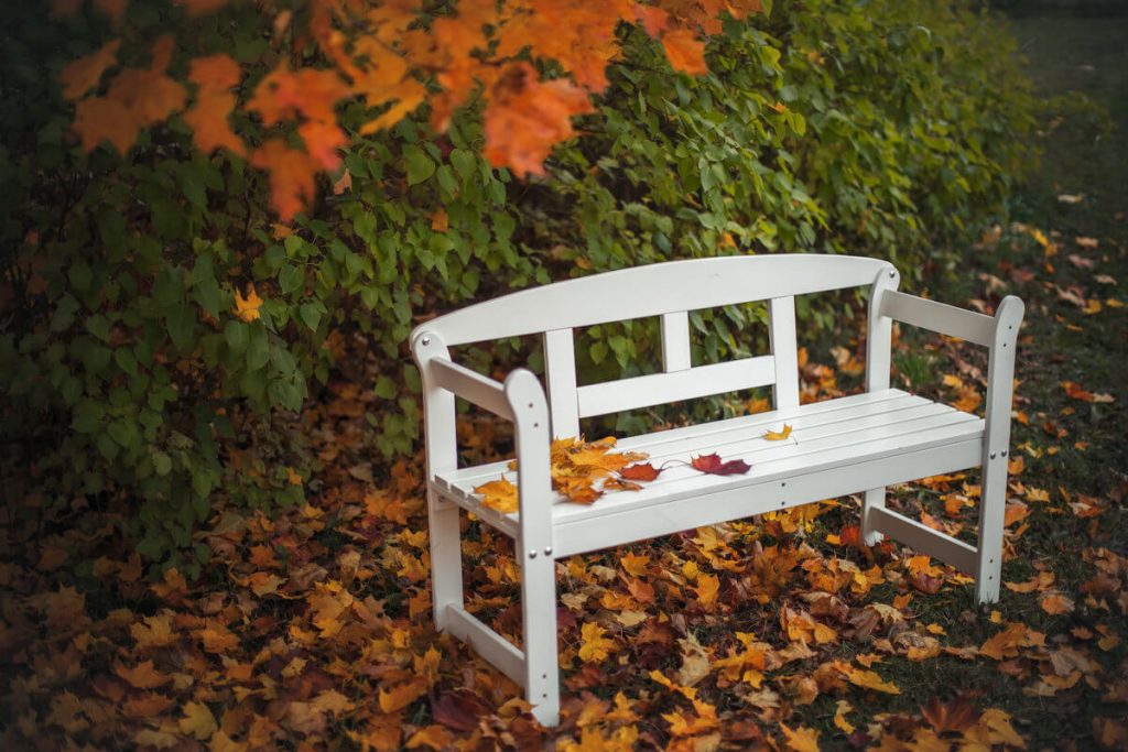 Garden bench with backrest